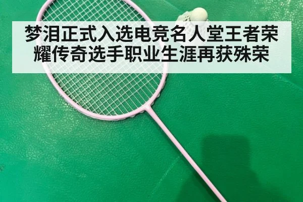 梦泪正式入选电竞名人堂王者荣耀传奇选手职业生涯再获殊荣